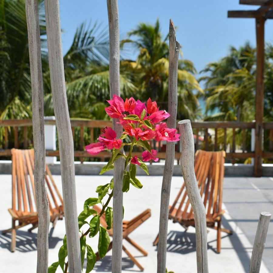 Hotel Ah Muzenkab El Cuyo Esterno foto